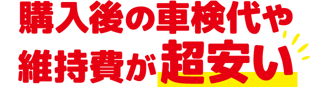 購入後の車検代や維持費が超安い